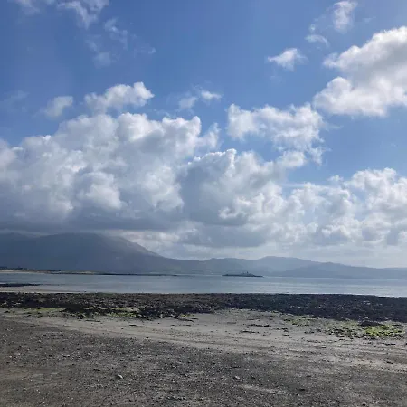 Fenit Oasis * Talaught West