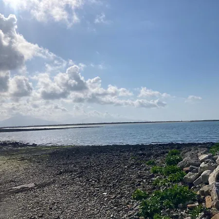 Fenit Oasis