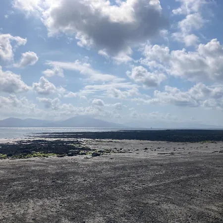 Fenit Oasis *