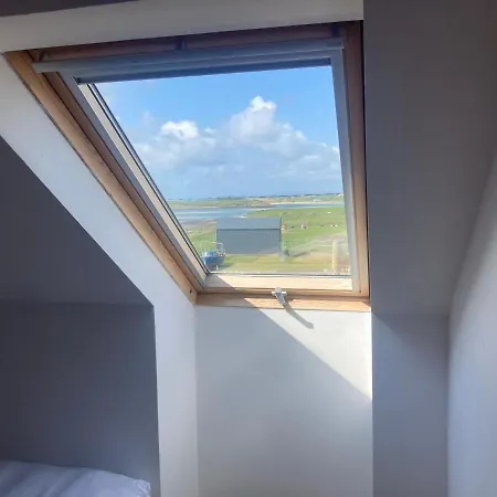 Fenit Oasis * Talaught West