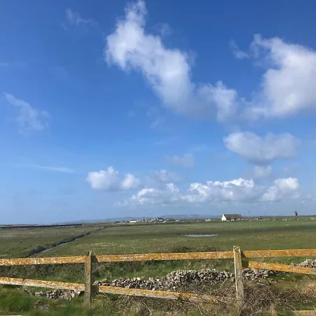 Fenit Oasis Talaught West